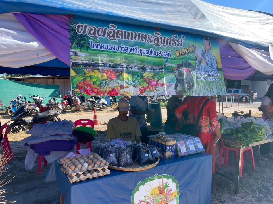 การจัดจำหน่ายโครงการตลาดนัดท้องถิ่นสีเขียว